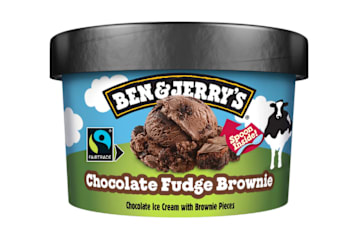 Ben & Jerry's Chocolate Fudge Brownie 100ml